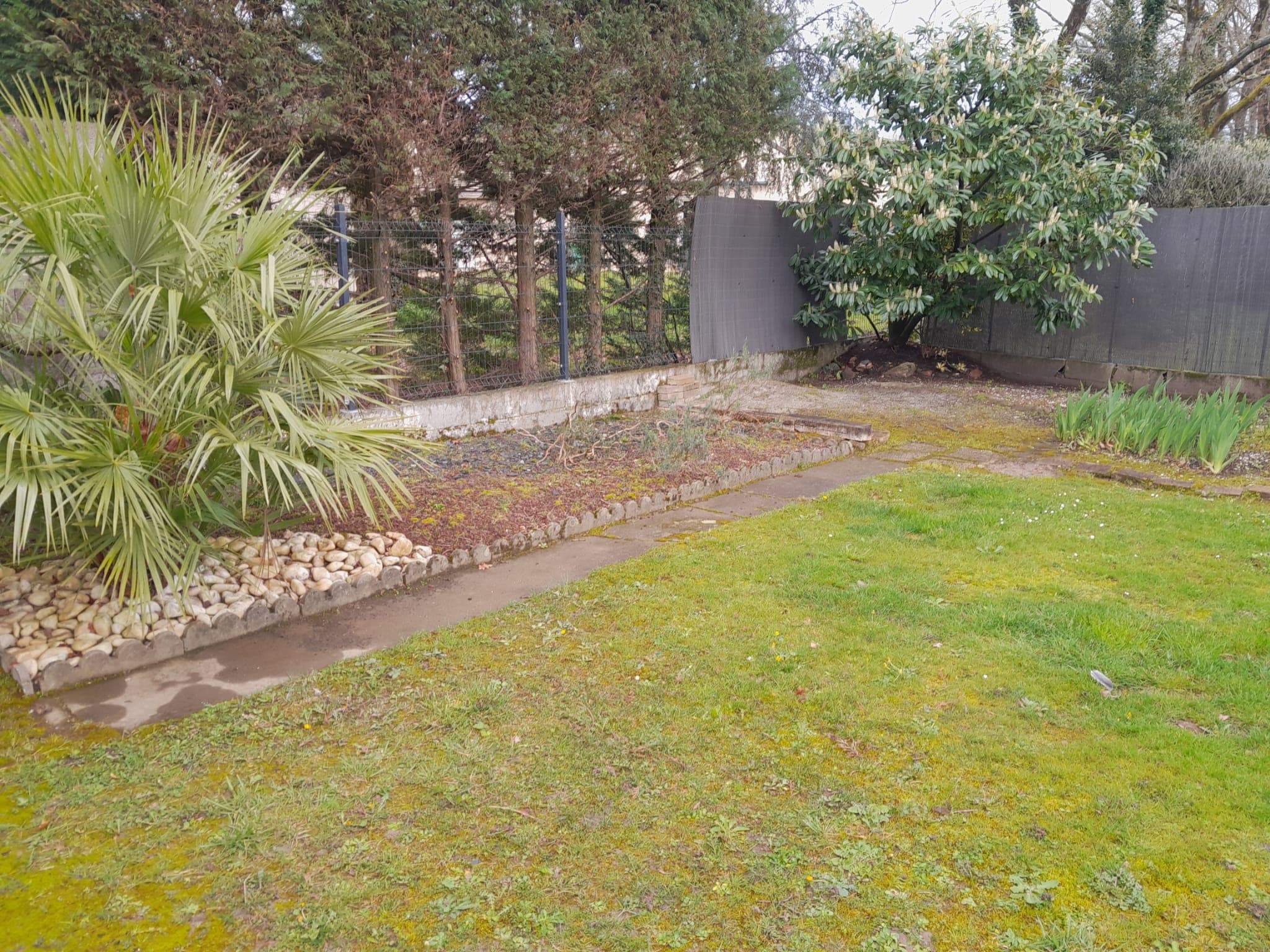 Avant - Création de jardin