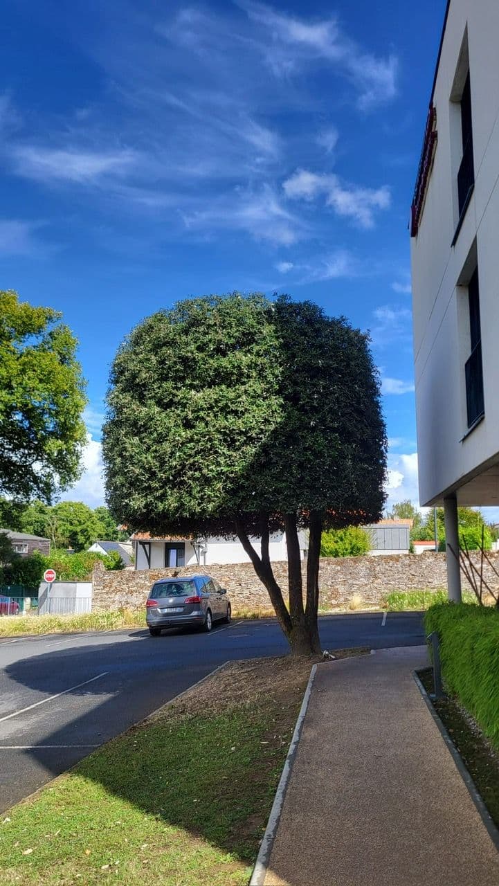 Après - Entretien de jardin