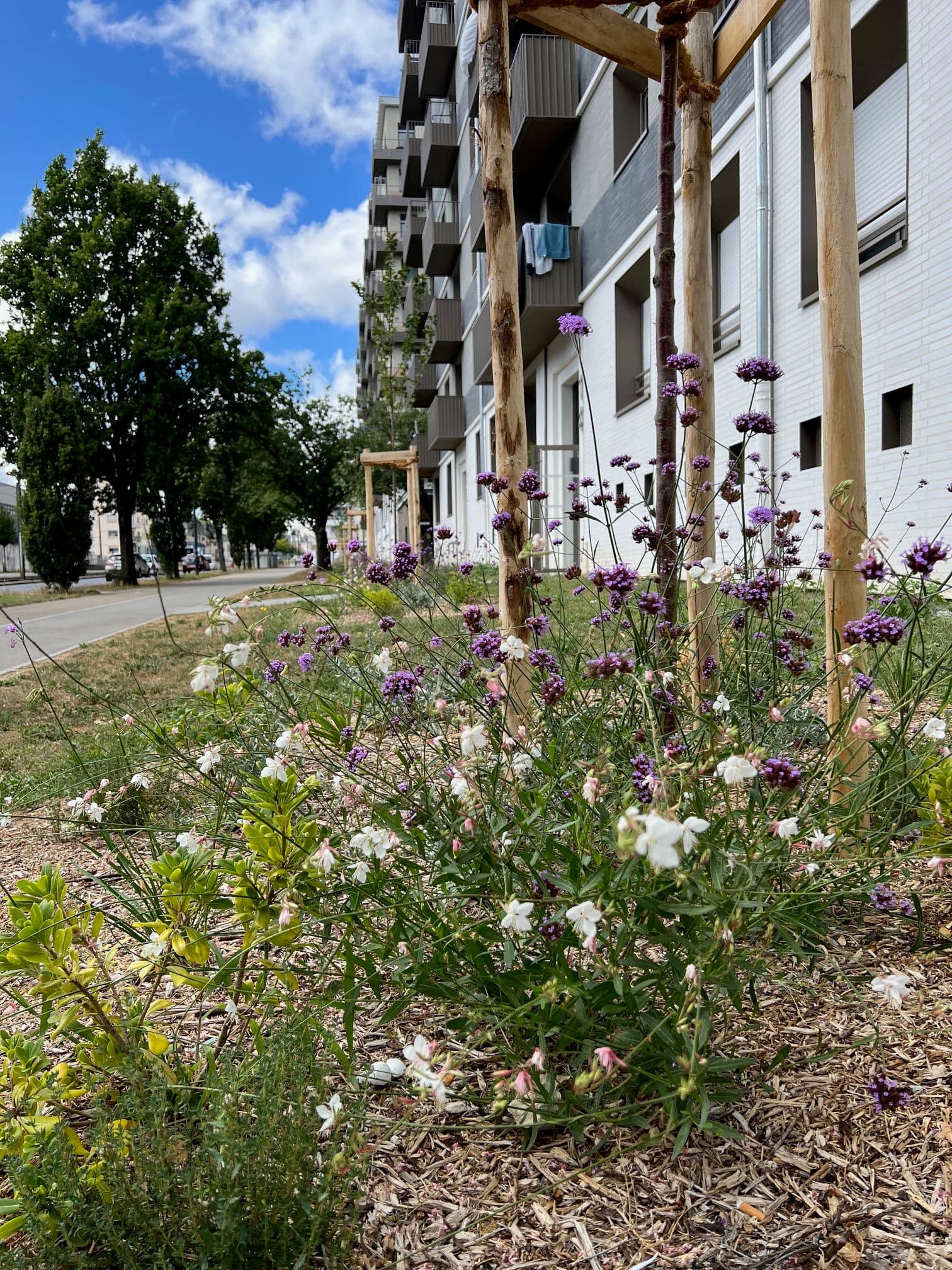 Que planter en mars en Loire-Atlantique ?