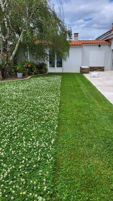 Tonte à Sucé sur Erdre