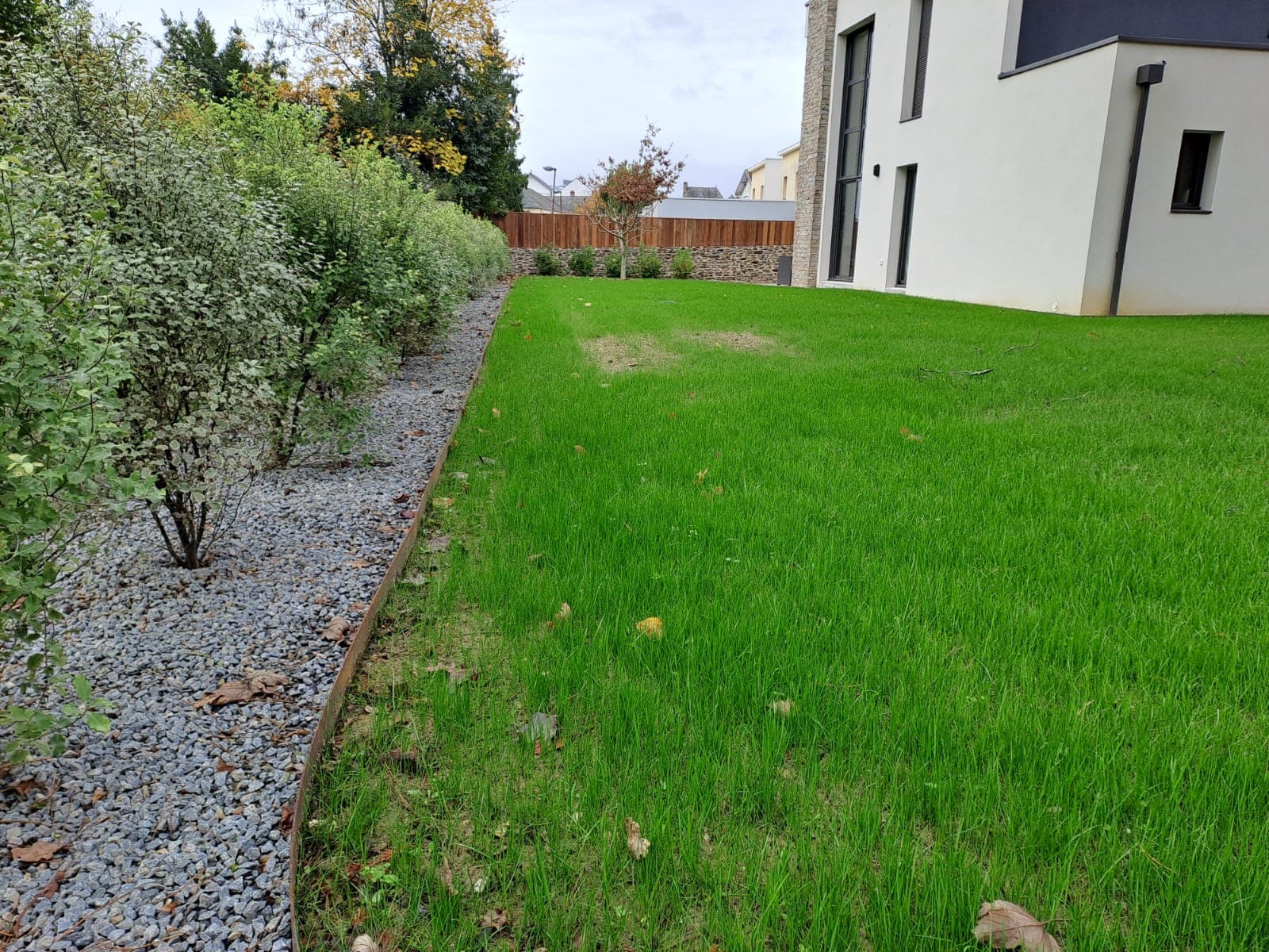 Pelouse et haie plantée dans un jardin contemporain à Sucé-sur-Erdre – Erdre Paysage