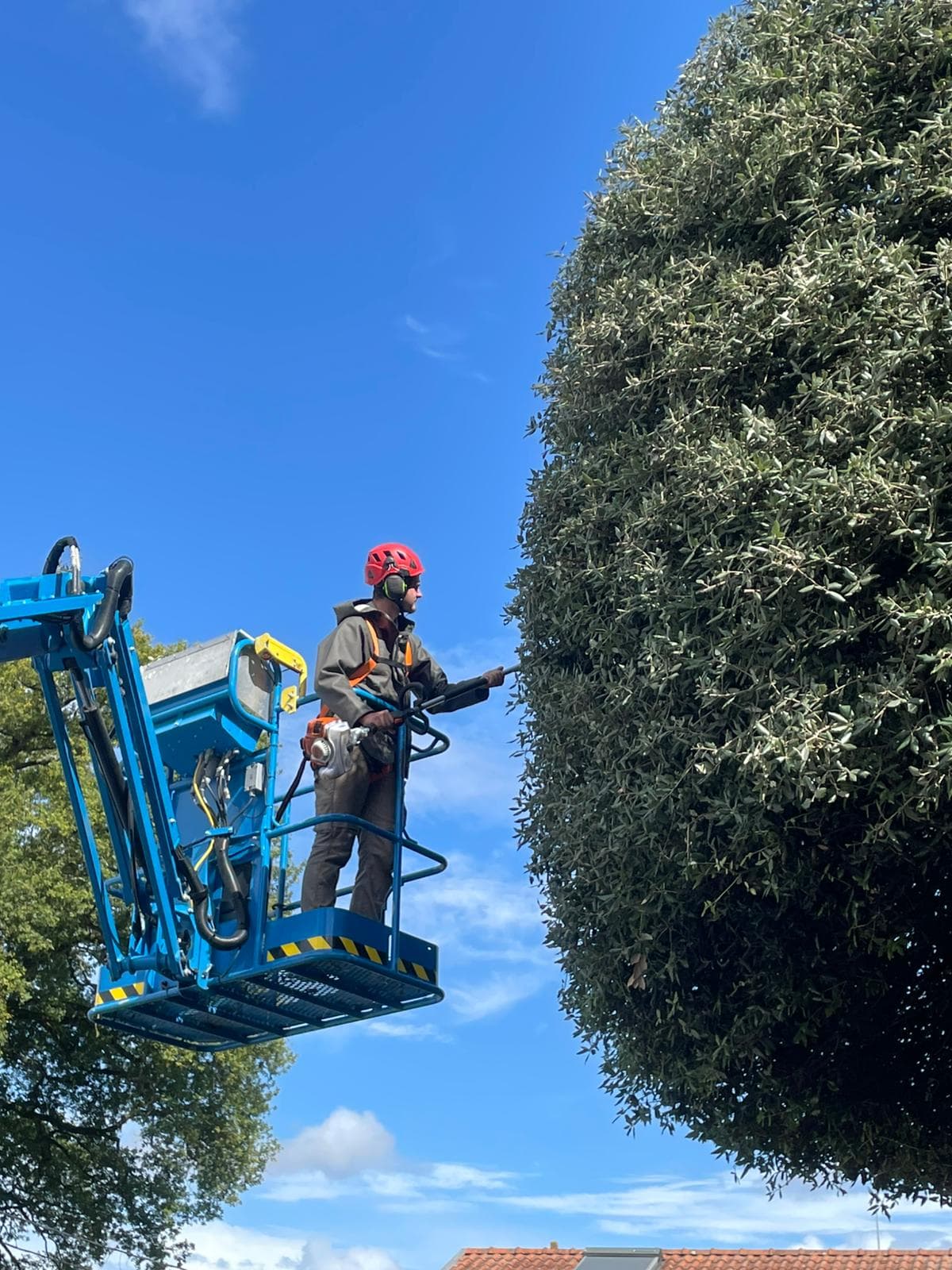 Paysagiste en nacelle réalisant une taille d’entretien sur un grand arbre pour préparer le jardin avant l’hiver à Sucé-sur-Erdre.