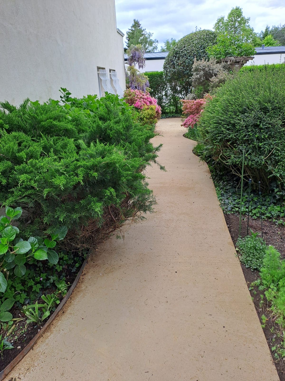 Allée en béton clair bordée d’arbustes à Sucé-sur-Erdre – Erdre Paysage