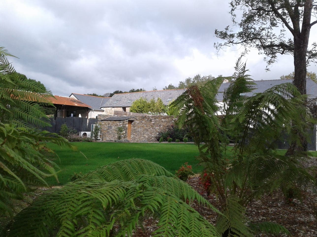 Jardin paysager avec fougères et pelouse dans un aménagement extérieur en Loire-Atlantique réalisé par un paysagiste.