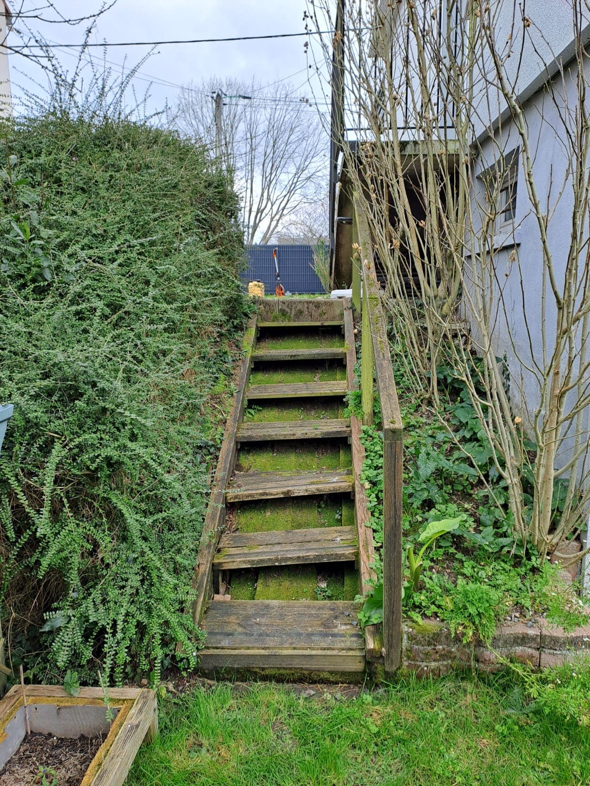 Escalier bois ancien dans un jardin à rénover à Sucé-sur-Erdre – Erdre Paysage